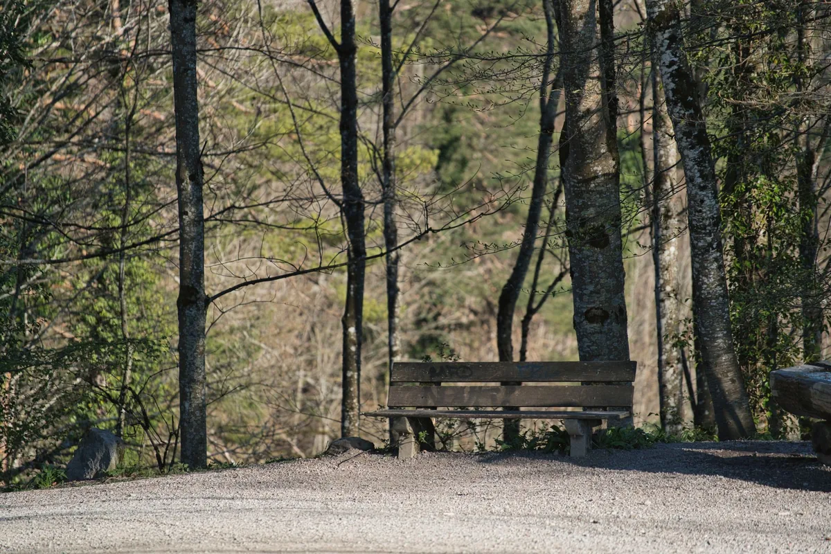 Panic attacks and panic disorder — a calm, everyday scene